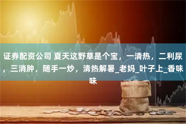 证券配资公司 夏天这野草是个宝，一清热，二利尿，三消肿，随手一炒，清热解暑_老妈_叶子上_香味